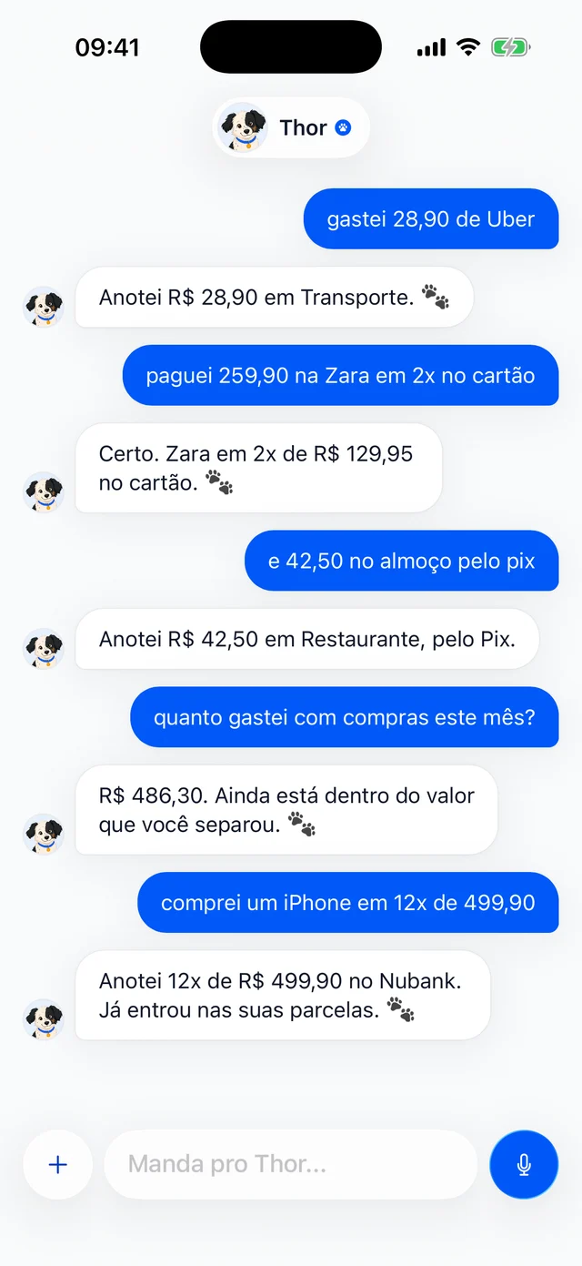 Thor chat: logging expenses by message
